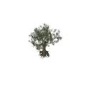 Realistic Olive Tree Decorative Ornament Set for Home Interior Decoration 3d model