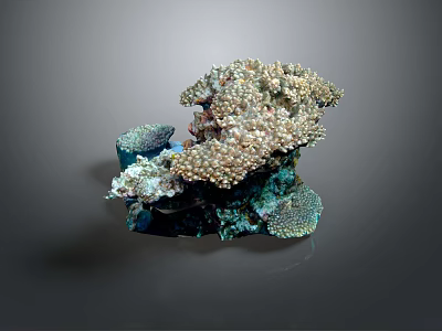 Intricate Coral Reef Inspired Sculpture With Golden Blue Textures And Detailed Carvings 3d model