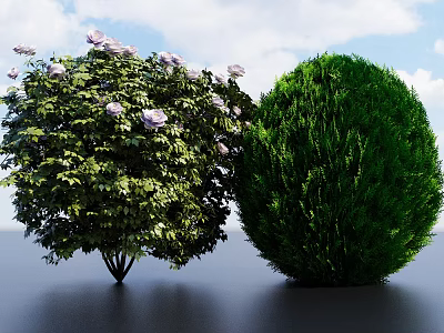 Leafy Shrub With Purple Flowers And Rounded Green Shrub In Blue Sky White Clouds 3d model