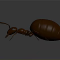Detailed 3D Rendered Ant With Large Round Abdomen On Smooth Dark Surface With Reflection