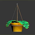 Hanging Green Plant With Large Leaves In Decorative Pot And Rope