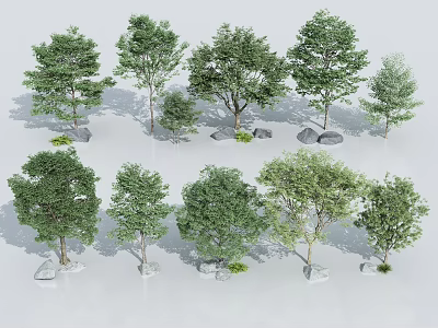 Assorted Trees With Lush Green Foliage And Stones In Natural Arrangement 3d model
