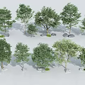 Assorted Trees With Lush Green Foliage And Stones In Natural Arrangement