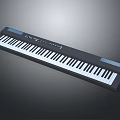 Electronic Keyboard Musical Instrument With Black Finish And Standard Key Layout