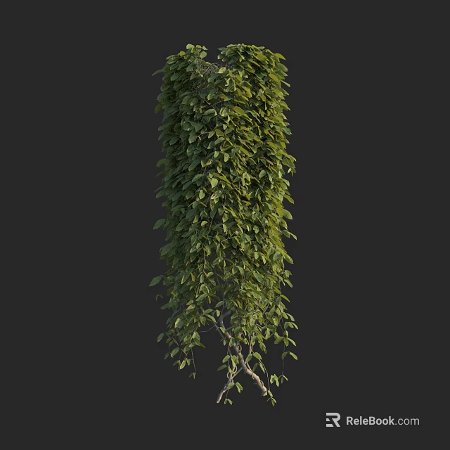 Lush Green Vines With Dense Foliage Hanging Vertically As Natural Decorative Plant 3d model 