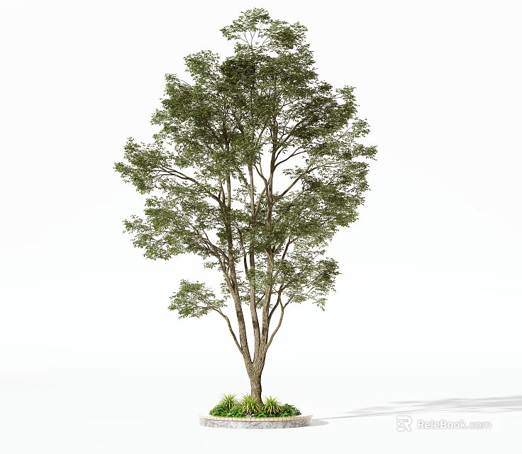 Tall Lush Green Arbor Featuring Branched Trunk And Small Plants At Base 3d model 