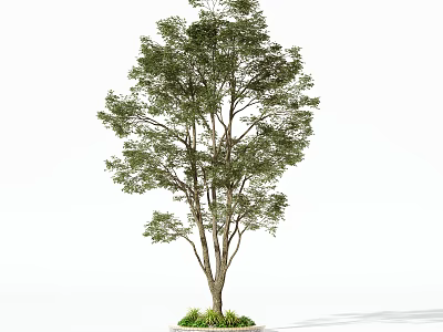 Tall Lush Green Arbor Featuring Branched Trunk And Small Plants At Base 3d model