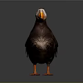 Cute Puffin Bird With Orange Beak And Webbed Feet On Gray Surface 3d model