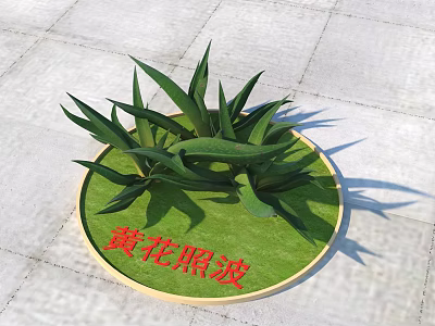 Yellow Flower Zhaobo Plant With Erect Long Leaves On Circular Green Base 3d model