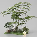 Lush Green Garden Scene With Tall Palm Plants Small Shrubs Grass And Glowing Ball Decoration