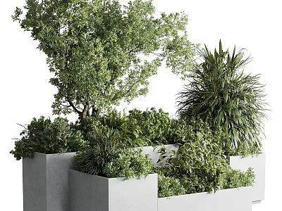Potted Plants Featuring Various Green Foliage in Gray Square Planters Modern Design 3d model