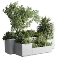 Potted Plants Featuring Various Green Foliage in Gray Square Planters Modern Design 3d model