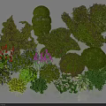 Diverse Garden Shrubs With Trimmed Shapes Flowering Blooms And Green Foliage