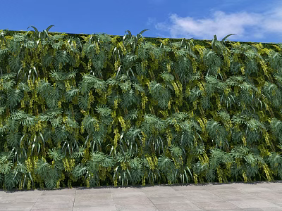 Lush Green Plant Wall With Yellow Flowers Blue Sky White Clouds And Stone Path 3d model