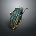 Detailed View Of Blue Green Striped Beetle With Metallic Shiny Exoskeleton On Dark Background