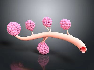 Detailed Biological Tissue System Featuring Branching Structures And Pink Cellular Clusters 3d model