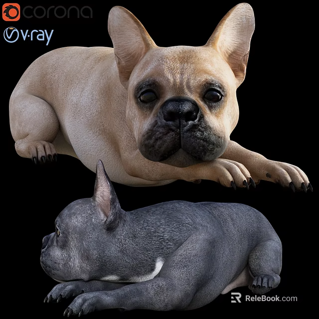 Light Brown And Dark Gray French Bulldogs In Relaxed Lying Pose 3d model 