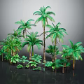 Lush Green Palm Trees And Tropical Plants In Decorative Landscape Arrangement