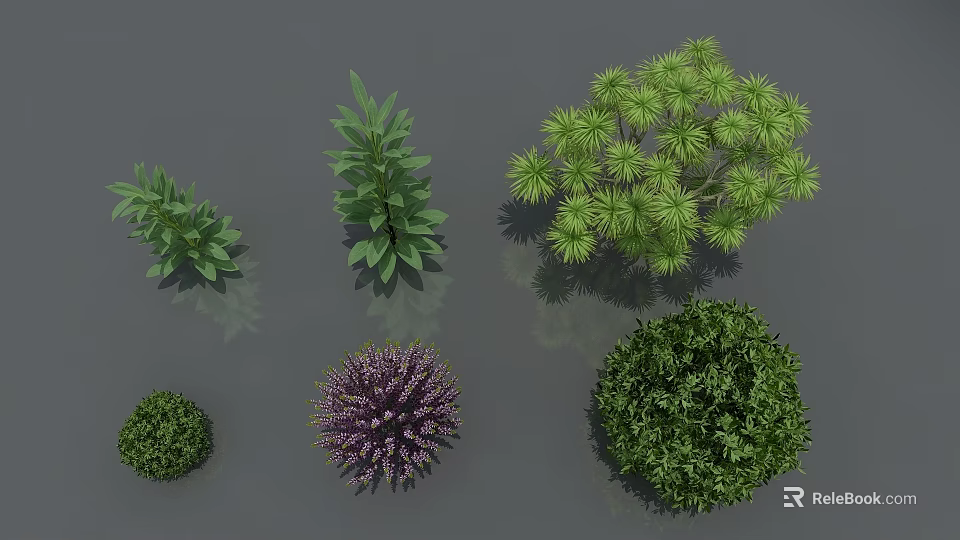 Various Types Of Shrubs With Different Shapes And Green Purple Foliage 3d model 