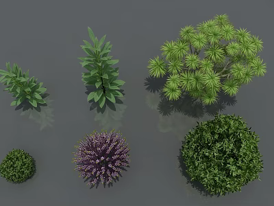 Various Types Of Shrubs With Different Shapes And Green Purple Foliage 3d model