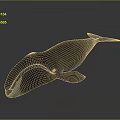 Detailed Dark Colored Whale 3D Model in Gradient Gray Background with Reflective Surface 3d model