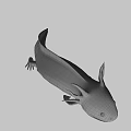 3D White Axolotl Game Character With Brown Gills And Aquatic Features