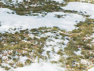 Snow Grass And Fallen Leaves Themed Decorative Ornament Set For Home 3d model