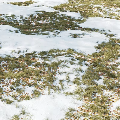 Snow Grass And Fallen Leaves Themed Decorative Ornament Set For Home 3d model