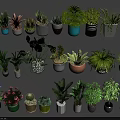 Diverse Potted Plants With Various Greenery Types Colorful Ceramic And Woven Planters For Indoor Decor