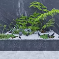 Indoor Landscape Design With Green Plants Rocks White Gravel And Natural Elements