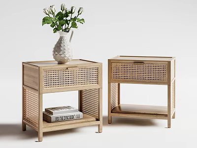 Two Wooden Side Tables With Rattan Design White Vase Green Plant And Books 3d model