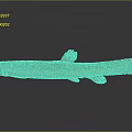 Elongated Brownish Yellow Spotted Fish With Red Eyes Fins Tail And Whiskers