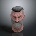 Elderly Man 3D Model Head With Gray Beard And Styled Hair