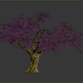 Single Tree With Purple Flowers Thick Trunk And Exposed Roots On Dark Background