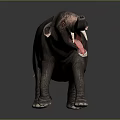 Large Dark Brown Elephant With Open Mouth And Extended Trunk Standing