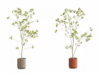 Plant Bonsai Plant Decoration Ornaments Branches Bonsai Ornaments Floral Flower Ceramic Flower Pot Ornaments 3d model