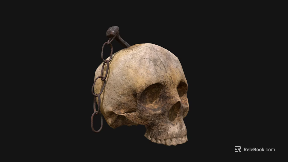 Decorative Skull Household Item With Old Hanging Iron Chain And Vintage Design 3d model 