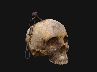 Decorative Skull Household Item With Old Hanging Iron Chain And Vintage Design 3d model