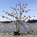 Garden Fruit Tree Orchard Persimmon Tree Landscape Tree Point View Tree Courtyard Landscape 3d model