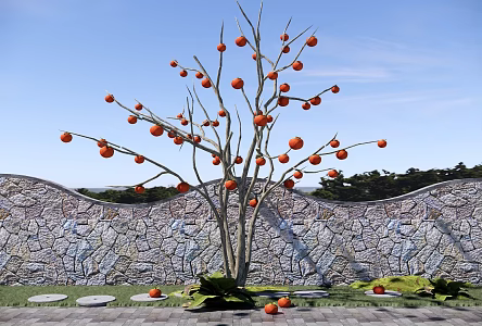 Garden Fruit Tree Orchard Persimmon Tree Landscape Tree Point View Tree Courtyard Landscape 3d model