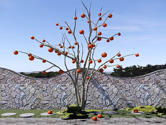 Garden Fruit Tree Orchard Persimmon Tree Landscape Tree Point View Tree Courtyard Landscape 3d model
