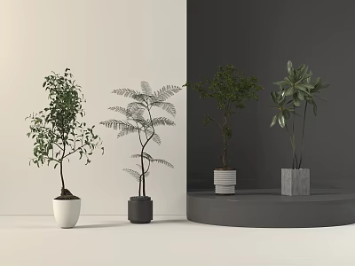 potted sargasso plant combination 3d model