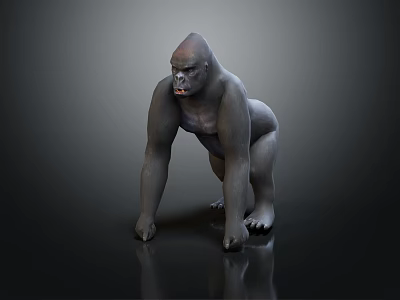 Detailed Realistic Gorilla 3D Model Crouching On Dark Reflective Surface 3d model