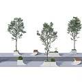 Modern Tree Planters With Trees Concrete Bases And Small Decorative Plants 3d model