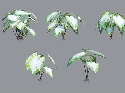 Modern plants Green plants Flower plants 3d model Modern plants Green plants Flower plants 3d model