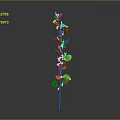 Elegant Green Plant with Slender Stem Leaves and Small Flowers on Gray Background