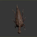 Reddish Brown Insect With Long Dorsal Projection On Gray Background 3d model