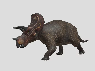 Triceratops Dinosaur 3D Model With Three Horns Frill And Rough Skin Texture 3d model