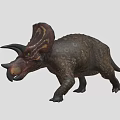 Triceratops Dinosaur 3D Model With Three Horns Frill And Rough Skin Texture