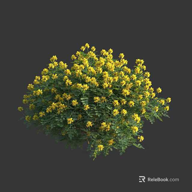 Lush Flower Bush With Bright Yellow Blooms And Green Foliage Perfect For Garden Landscaping 3d model 
